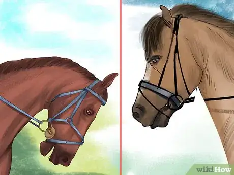 Image titled Understand Your Horse's Body Language Step 2