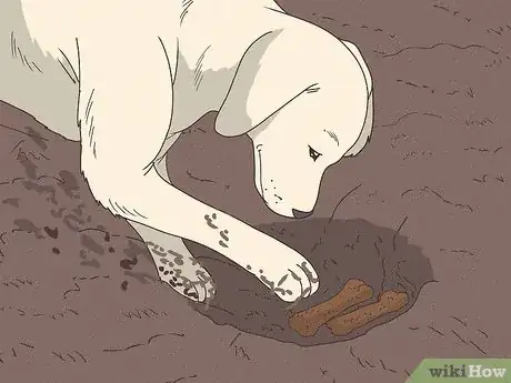 Image titled Why Do Dogs Bury Bones Step 1