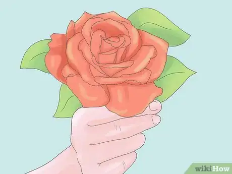 Image titled Plant Roses Step 1