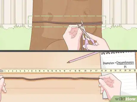 Image titled Measure the Diameter of a Tree Step 3