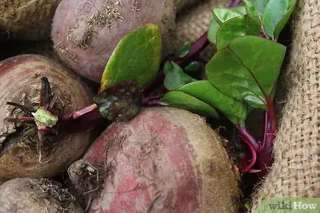 Image titled Store Raw Beets Step 1