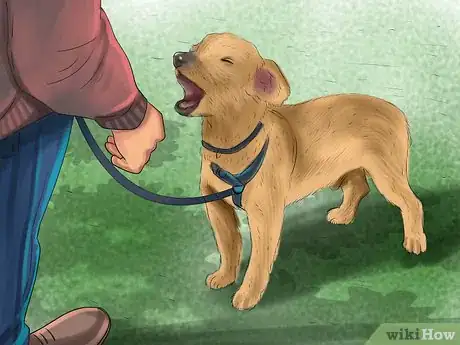 Image titled Teach a Dog to Tell You when He Wants to Go Outside Step 10