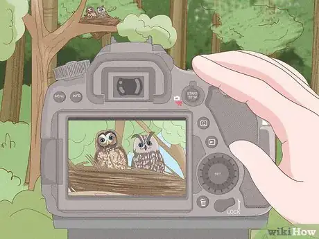 Image titled Find an Owl's Nest Step 11