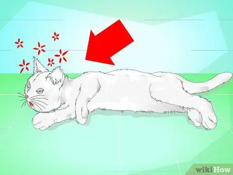 Image titled Make a Cat Throw Up Step 1