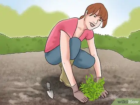 Image titled Lose Weight Gardening Step 2