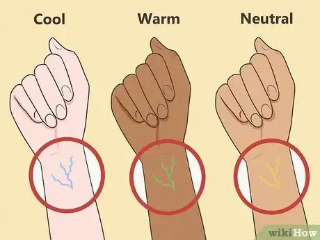 Image titled Choose a Foundation for Dark Skin Tones Step 3.jpeg