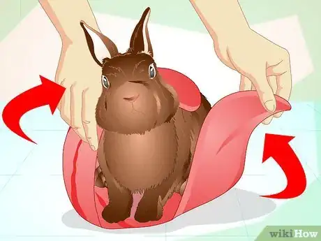 Image titled Deliver Oral Medication to Rabbits Step 13