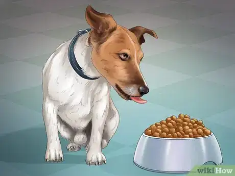 Image titled Help Your Dog After Giving Birth Step 14