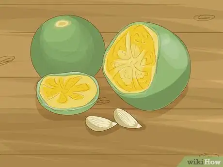 Image titled Plant Calamansi Step 1