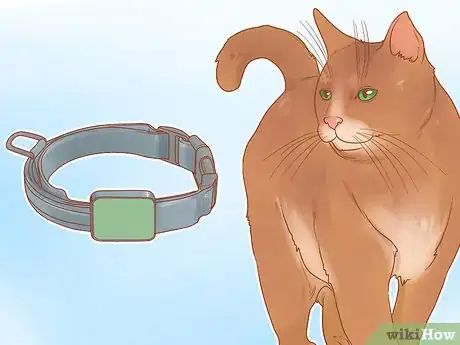 Image titled Have Fun with Your Cat Step 17