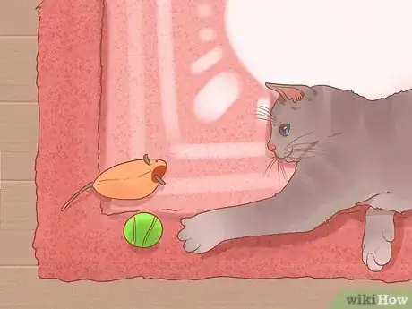 Image titled Prevent Cats from Eating Plants Step 11