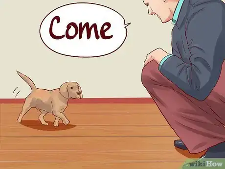 Image titled Teach Your Dog Basic Commands Step 13