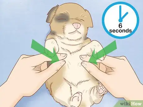 Image titled Revive a Puppy Step 17