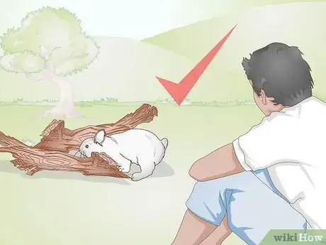 Image titled Exercise Your Rabbit Step 17