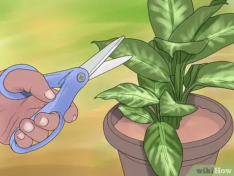 Image titled Remove Brown Tips From the Leaves of Houseplants Step 1