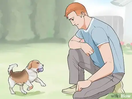 Image titled Contact a Dog Breeder Step 15