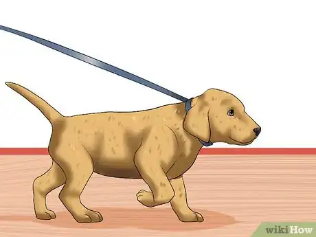 Image titled Obedience Train Your Puppy Before It's 10 Weeks Old Step 10