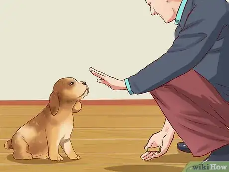 Image titled Teach Your Dog Basic Commands Step 10