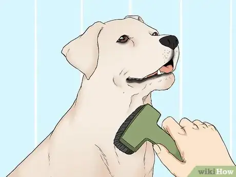 Image titled Wash a Dog's Face Step 3