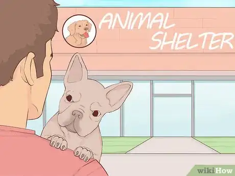 Image titled Give Away Your Dog when You Don't Want To Step 8