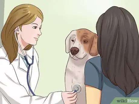 Image titled Get Dogs to Stop Barking Step 19