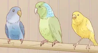 Keep Multiple Canaries