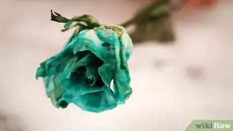 Image titled Dye Dried Roses Step 7