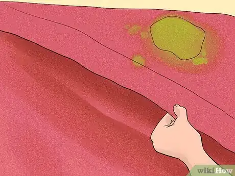 Image titled Get Rid of Carpet Mold Step 1