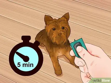 Image titled Train a Yorkie Step 10