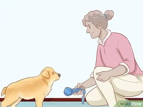 Image titled Stop Destructive Behavior in Dogs Step 10