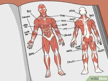 Image titled Study Muscle Anatomy Step 2