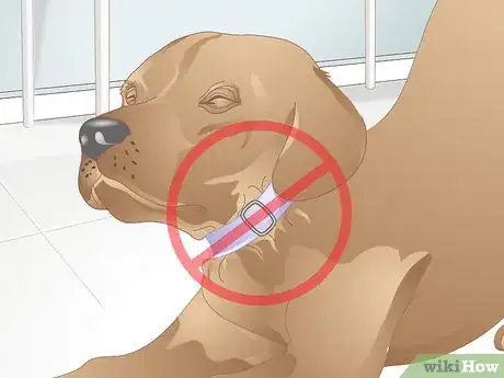 Image titled Make a Dog Collar Step 13