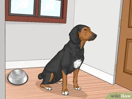 Image titled Prepare Your Household for a New Dog Step 18