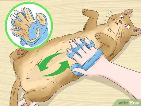 Image titled Help a Cat Cough Up a Hairball Step 18