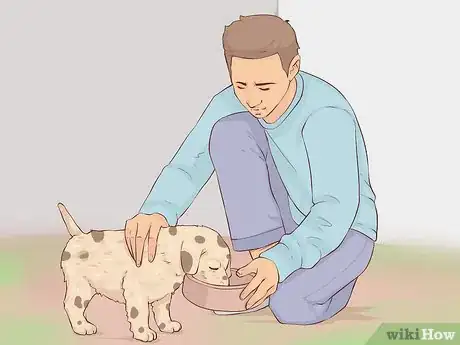 Image titled Give Away Your Dog when You Don't Want To Step 9