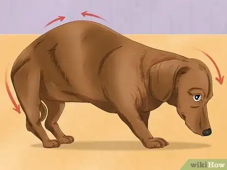 Image titled Tell if a Dog Is in Pain Step 5