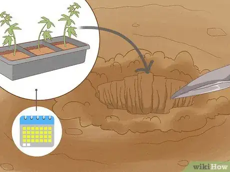 Image titled Grow Medical Marijuana Step 39