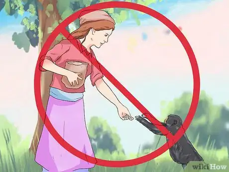 Image titled Repel Monkeys from Residential Areas Step 2