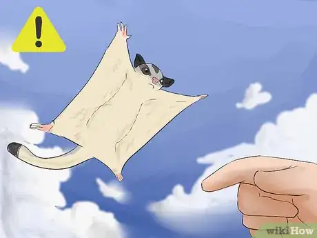 Image titled Care for a Sugar Glider Step 5