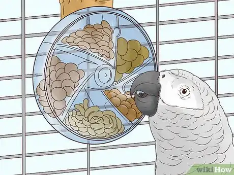 Image titled Feed Parrots Step 10