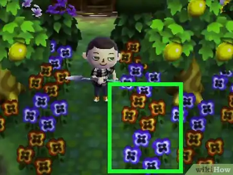 Image titled Get Blue Roses and Purple Pansies in Animal Crossing_ New Leaf Step 7