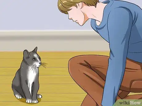 Image titled Calm Your Angry Cat Step 12