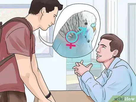 Image titled Identify Your Budgie's Gender Step 8