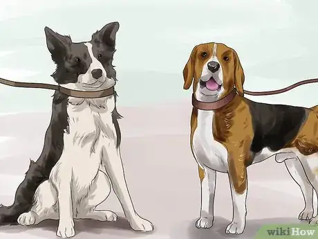 Image titled Get Your Two Dogs to Stop Fighting Step 4