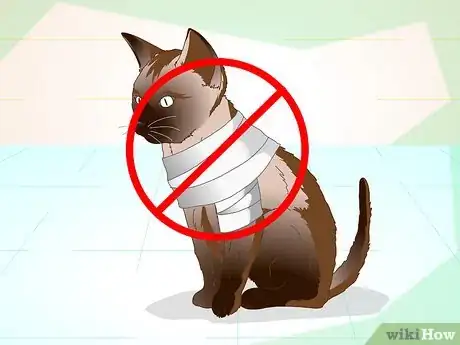 Image titled Help a Cat with a Broken Shoulder Step 7