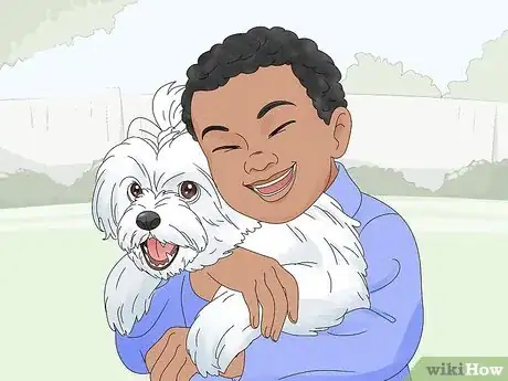 Image titled Identify a Maltese Dog Step 14