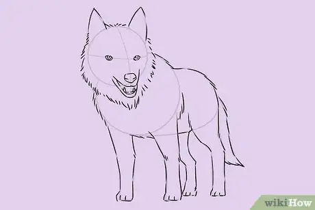 Image titled Draw a Wolf Step 16