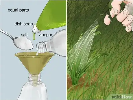 Image titled Get Rid of Weeds Without Killing Grass Step 4