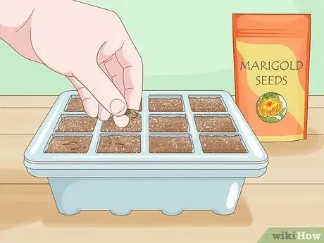 Image titled Grow Flowers from Seed Step 11