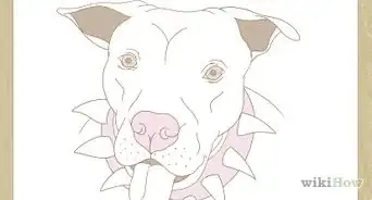 Draw a Pitbull